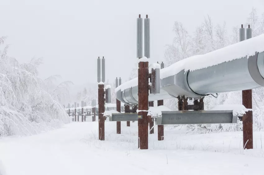 Motor Purge capable of operating in extreme environments